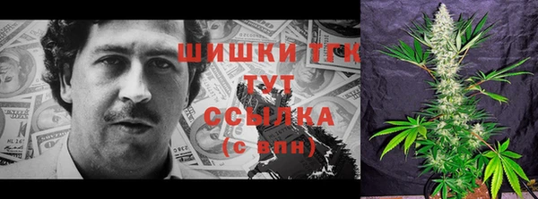 мет Ладушкин